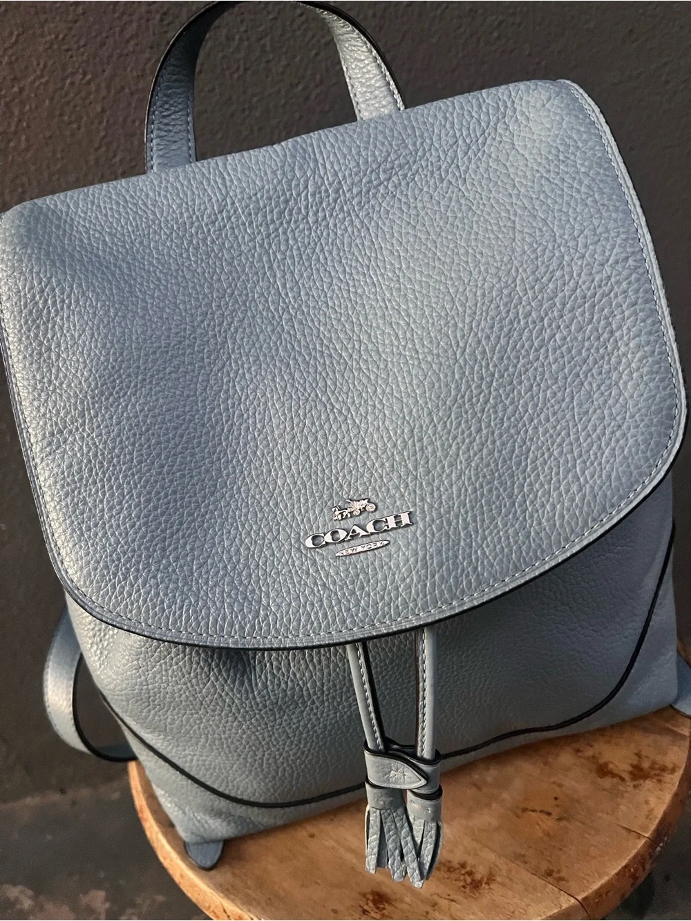 Coach Elle F72645 Cornflower Blue Leather Backpack Tassel Pull Drawstring